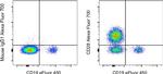 CD28 Antibody in Flow Cytometry (Flow)