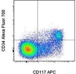 CD34 Antibody in Flow Cytometry (Flow)