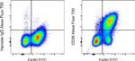 CD36 Antibody in Flow Cytometry (Flow)