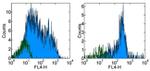 CD38 Antibody in Flow Cytometry (Flow)