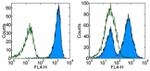 CD45 Antibody in Flow Cytometry (Flow)