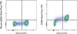 CD86 (B7-2) Antibody in Flow Cytometry (Flow)