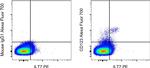 CD123 Antibody in Flow Cytometry (Flow)