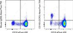 CD193 (CCR3) Antibody in Flow Cytometry (Flow)