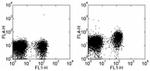 CD197 (CCR7) Antibody in Flow Cytometry (Flow)