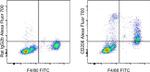 CD206 (MMR) Antibody in Flow Cytometry (Flow)