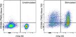 CD366 (TIM3) Antibody in Flow Cytometry (Flow)