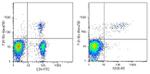 FOXP3 Antibody in Flow Cytometry (Flow)