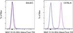 MHC Class I (H-2Kb) Antibody in Flow Cytometry (Flow)