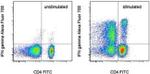 IFN gamma Antibody in Flow Cytometry (Flow)