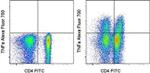 TNF alpha Antibody in Flow Cytometry (Flow)