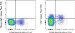 TIGIT Antibody in Flow Cytometry (Flow)