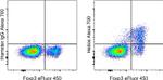 HELIOS Antibody in Flow Cytometry (Flow)