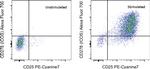 CD278 (ICOS) Antibody in Flow Cytometry (Flow)