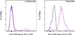 HLA-DR Antibody in Flow Cytometry (Flow)