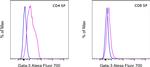 Gata-3 Antibody in Flow Cytometry (Flow)