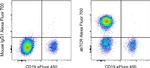 TCR alpha/beta Antibody in Flow Cytometry (Flow)