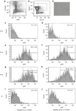 CD34 Antibody in Flow Cytometry (Flow)