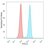 SFMBT2 Antibody in Flow Cytometry (Flow)