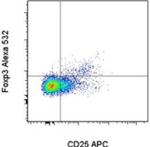 FOXP3 Antibody in Flow Cytometry (Flow)