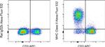 MHC Class II (I-A/I-E) Antibody in Flow Cytometry (Flow)