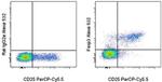 FOXP3 Antibody in Flow Cytometry (Flow)