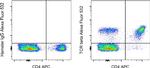 TCR beta Antibody in Flow Cytometry (Flow)