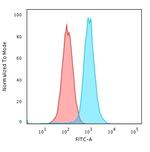 RAD51 (Prognostic and Response to Chemotherapy Marker) Antibody in Flow Cytometry (Flow)