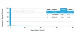 BCL2-like 2 (BCL2L2)/BCL-W Antibody in Peptide array (ARRAY)