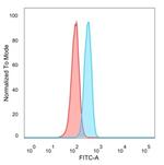 BCL2-like 2 (BCL2L2)/BCL-W Antibody in Flow Cytometry (Flow)