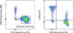 CD19 Antibody in Flow Cytometry (Flow)