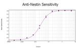 Nestin Antibody in ELISA (ELISA)