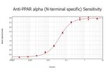 PPAR alpha Antibody in ELISA (ELISA)