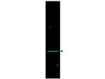 VDAC/Porin Antibody in Western Blot (WB)