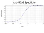 GGA3 Antibody in ELISA (ELISA)