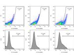 xCT Antibody in Flow Cytometry (Flow)