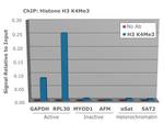 H3K4me3 Antibody in ChIP Assay (ChIP)