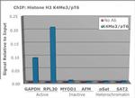 H3K4me3T6ph Antibody in ChIP Assay (ChIP)