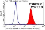 GAPDH Antibody in Flow Cytometry (Flow)