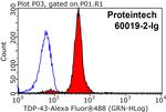 TDP-43 Antibody in Flow Cytometry (Flow)