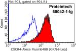 CXCR4 Antibody in Flow Cytometry (Flow)