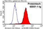 Annexin A2 Antibody in Flow Cytometry (Flow)