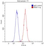 Neuropilin 1 Antibody in Flow Cytometry (Flow)