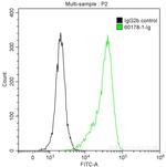 BCL2 Antibody in Flow Cytometry (Flow)