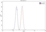 CD109 Antibody in Flow Cytometry (Flow)