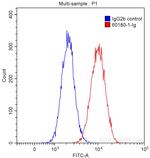 CD34 Antibody in Flow Cytometry (Flow)