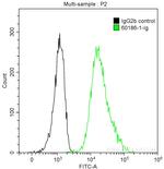 Cyclin D1 Antibody in Flow Cytometry (Flow)