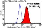 FAS/CD95 Antibody in Flow Cytometry (Flow)