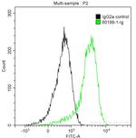 STAT3 Antibody in Flow Cytometry (Flow)