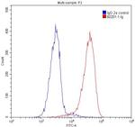 UBC9 Antibody in Flow Cytometry (Flow)